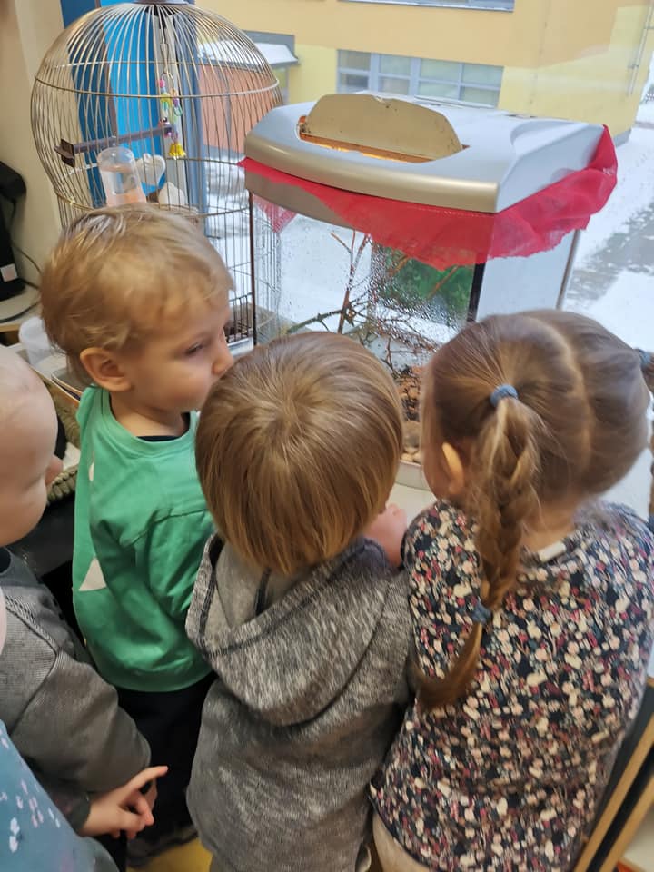 ,, Kačiukų” grupės augintiniai