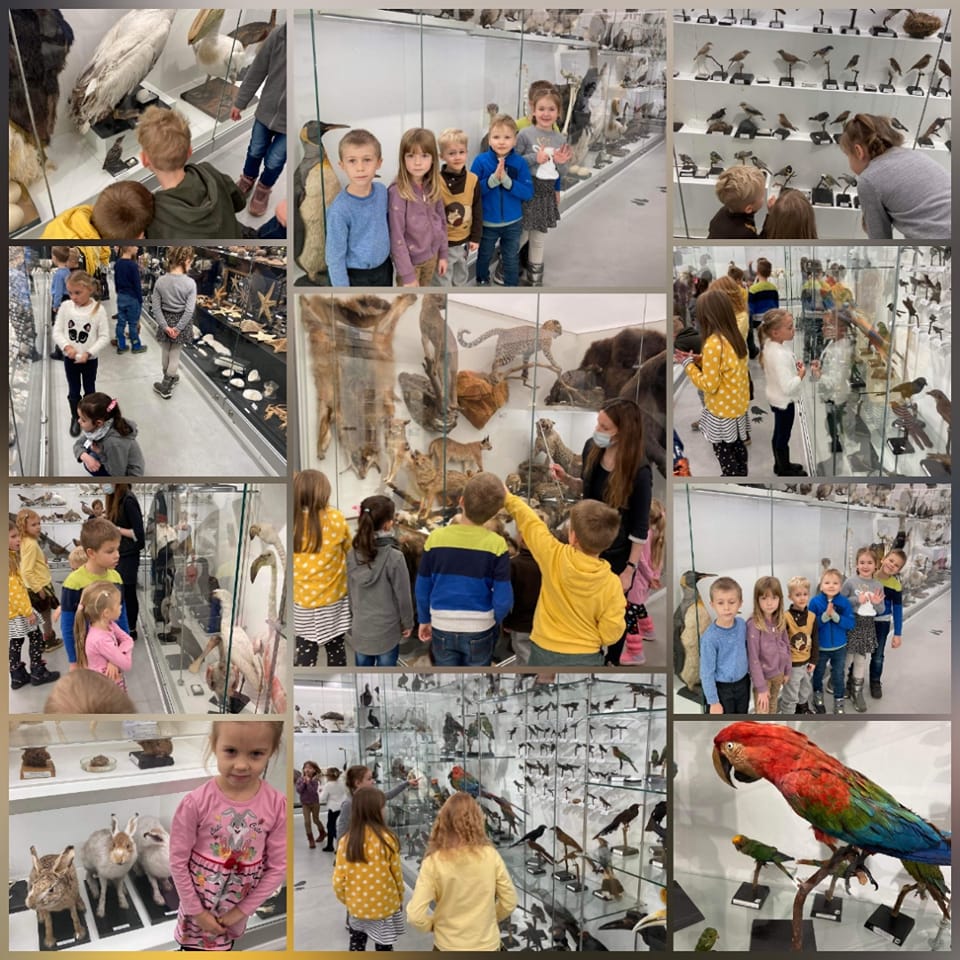 “Ežiukai” grupė Vilniaus universiteto zoologijos muziejuje
