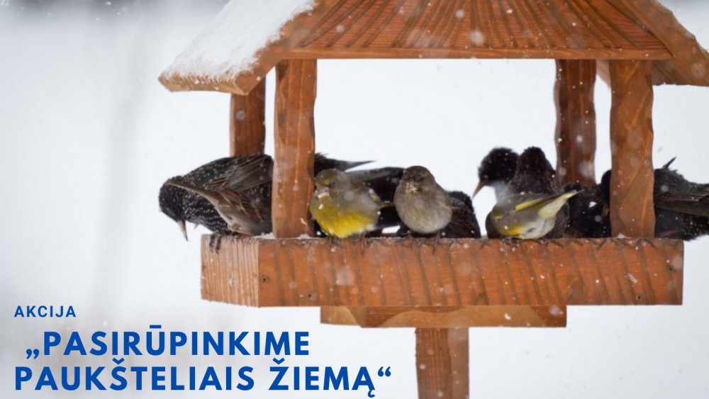Akcija “Pasirūpinkime paukšteliais žiema”