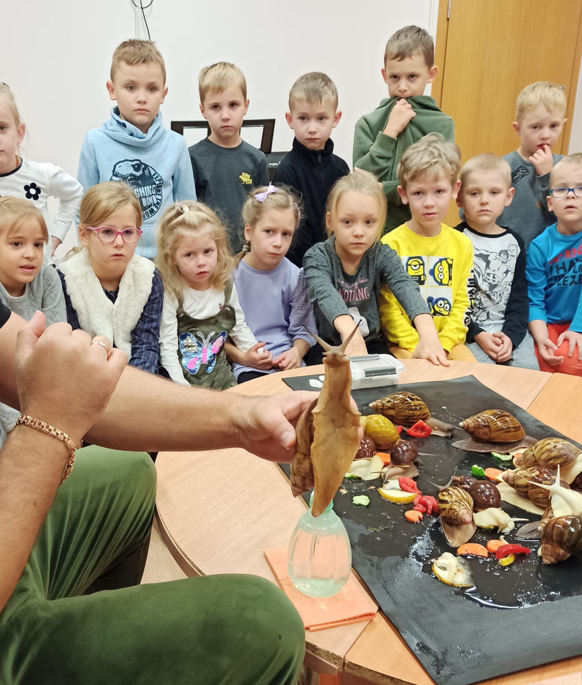 Edukacija apie Afrikines sraiges