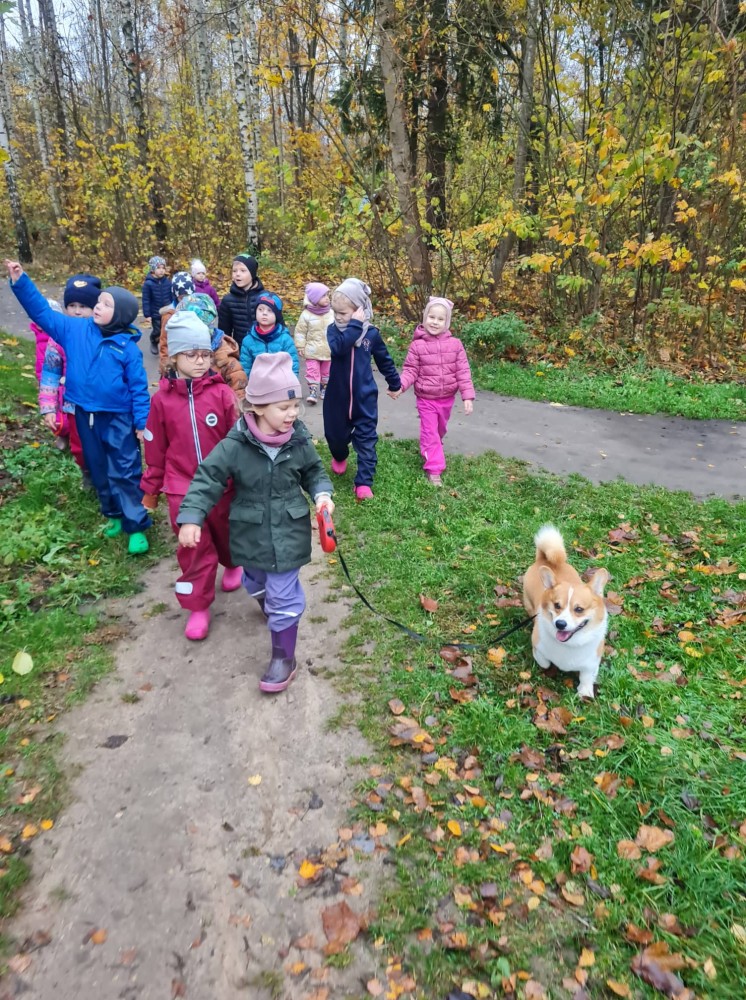 Trečiadienis – Lauko diena “Šypsenėlių” grupėje