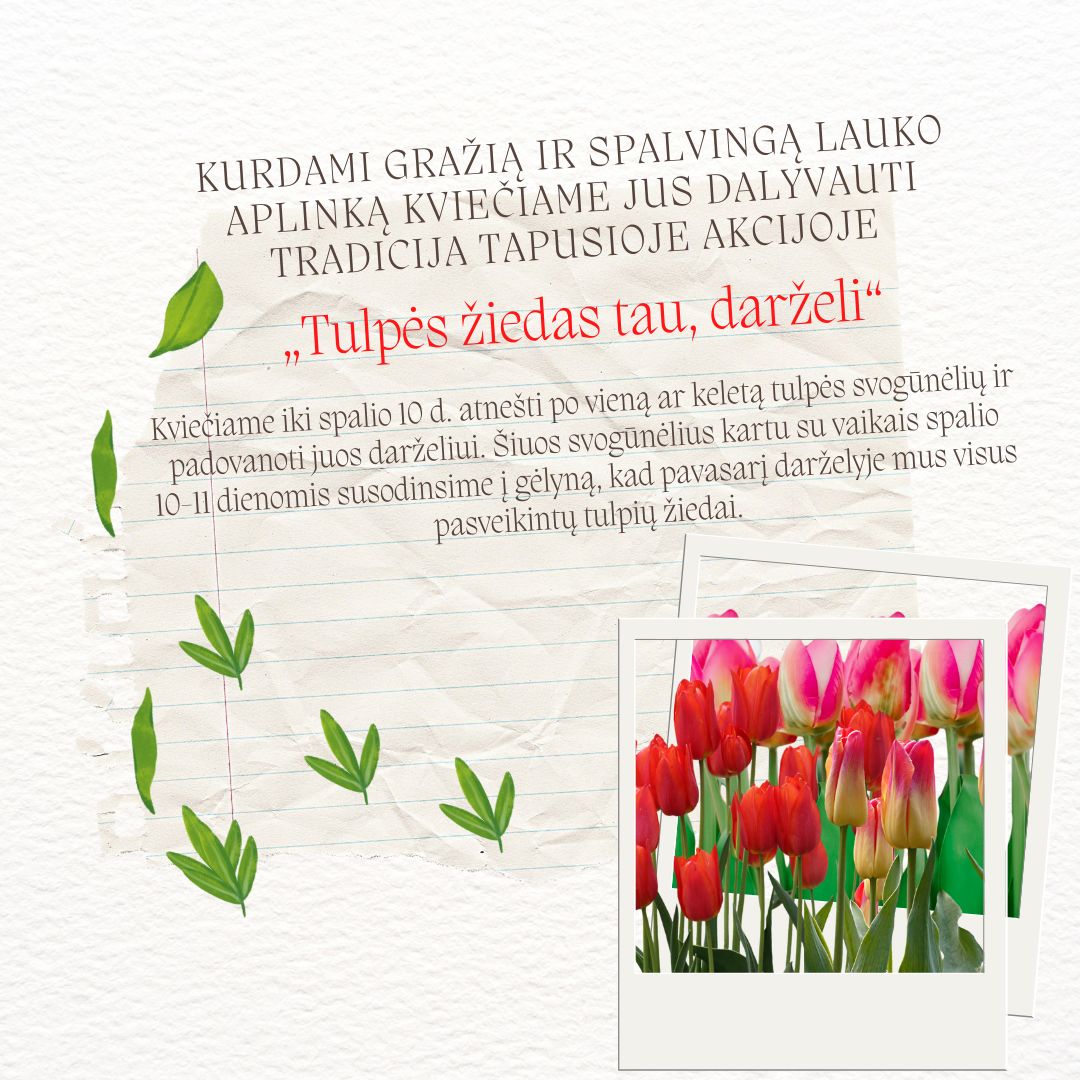 Kviečiame dalyvauti akcijoje „Tulpės žiedas tau, darželi“