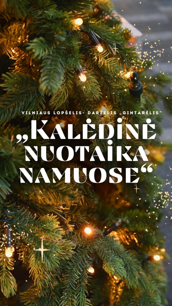 „Kalėdinė nuotaika namuose“