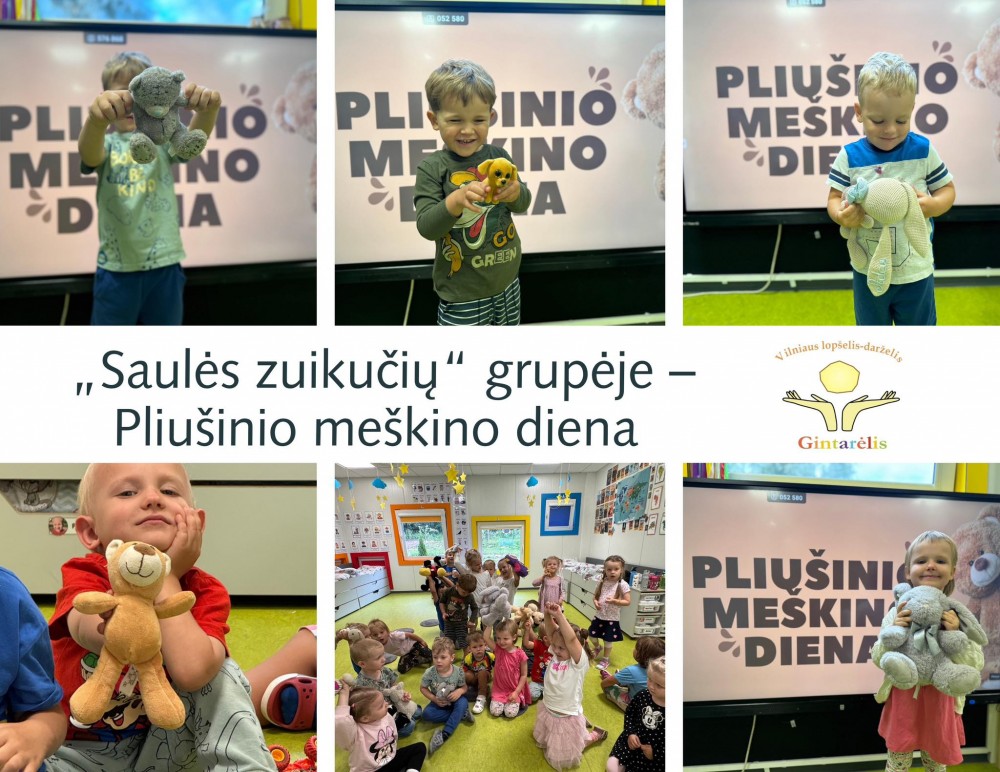 Rugsėjo 9-ąją minima Pliušinio meškino diena