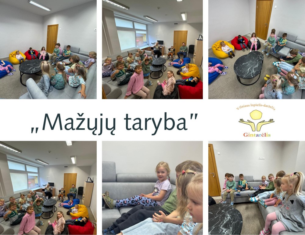 Susipažinkite su Mažųjų taryba! 