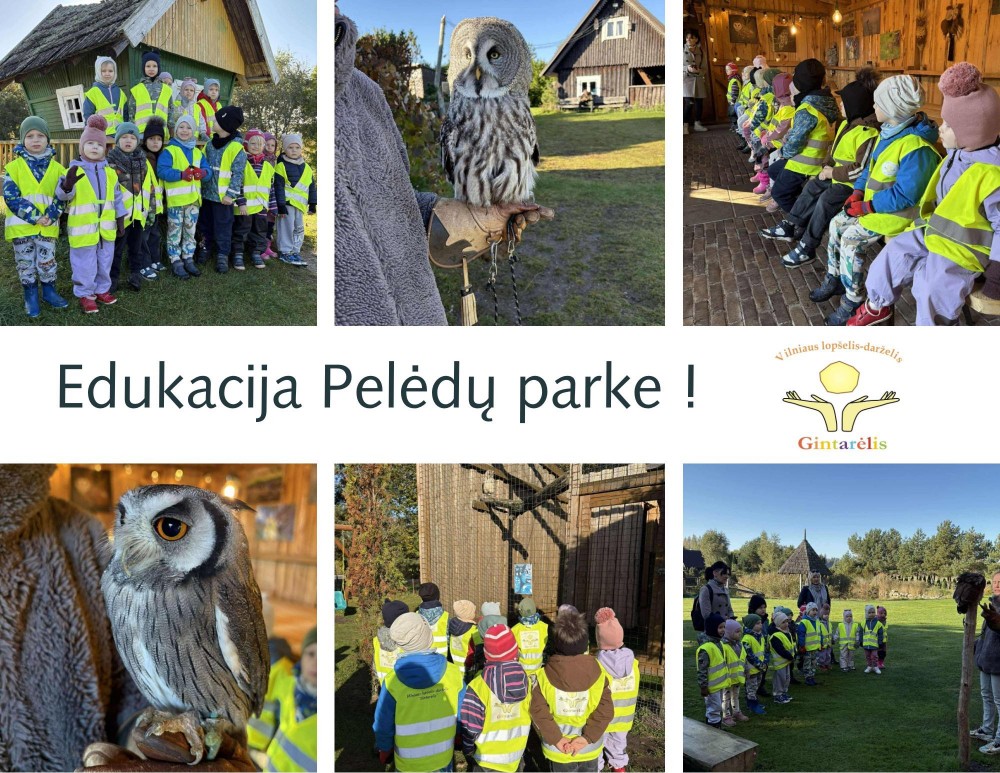 „Lašiukų“ grupės vaikai dalyvavo įdomioje edukacijoje Pelėdų parke!