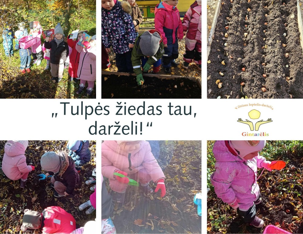 Akcija „Tulpės žiedas tau, darželi!“