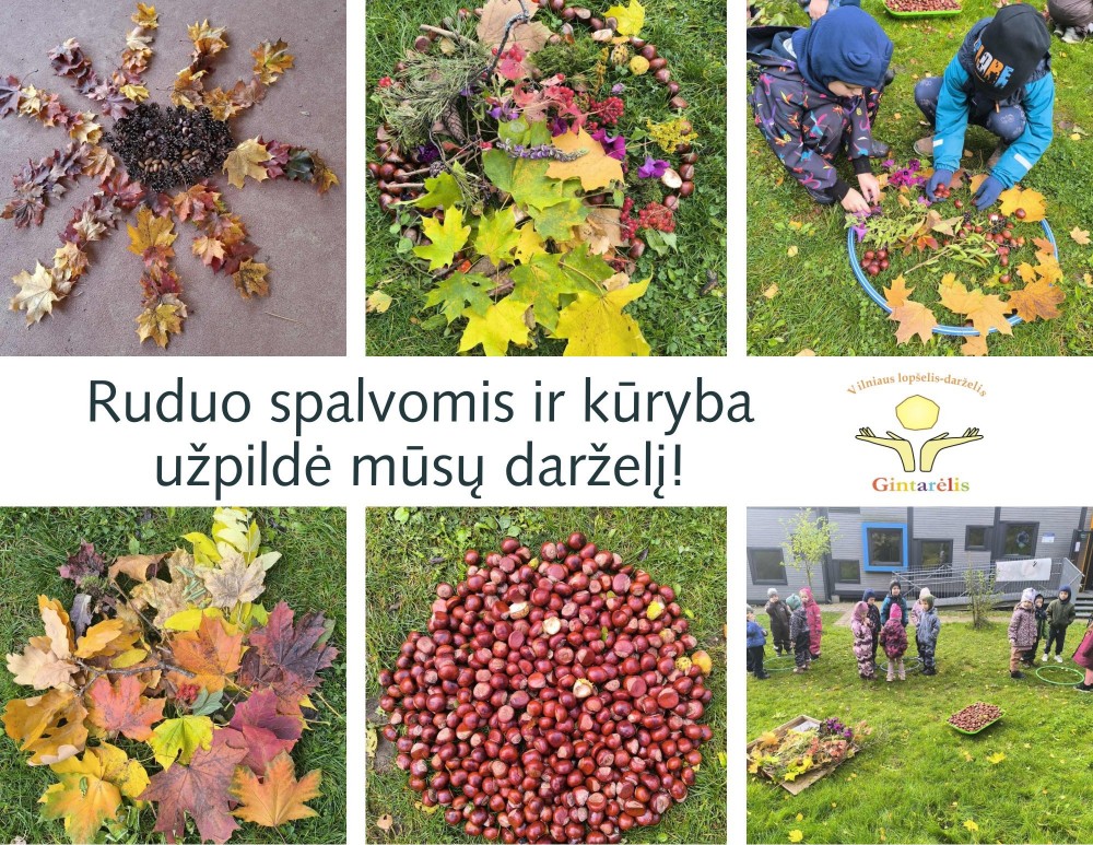 Vakar mūsų darželyje tvyrojo ypatinga nuotaika – vyko Rudens Pleneras!