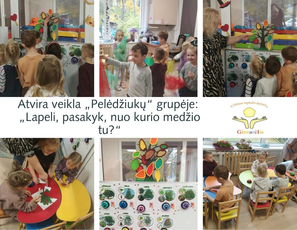 Atvira veikla  „Lapeli, pasakyk, nuo kurio medžio tu?“