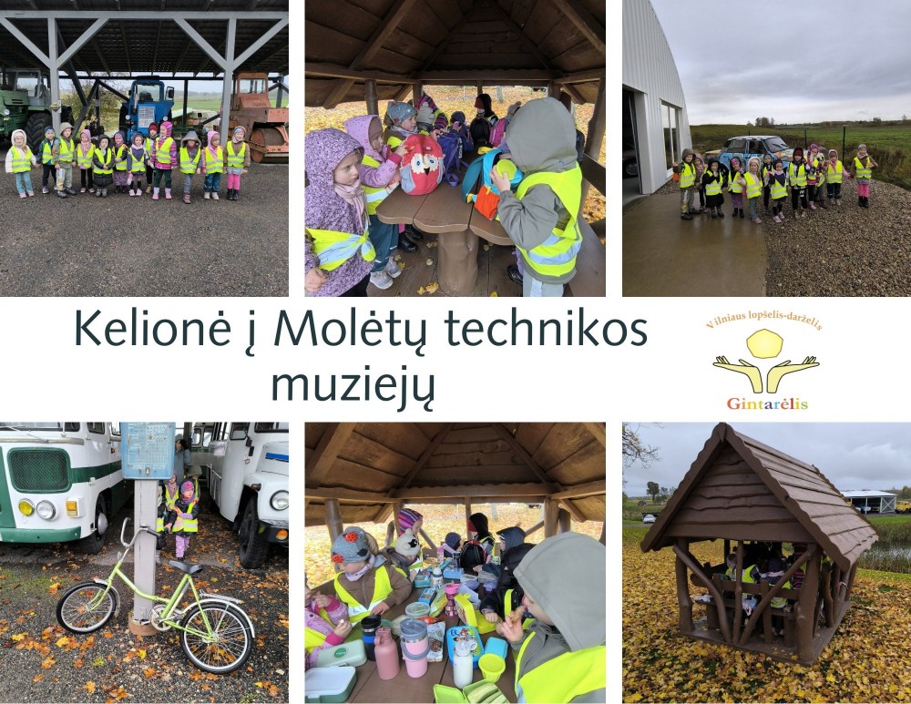 Kelionė į Molėtų technikos muziejų!