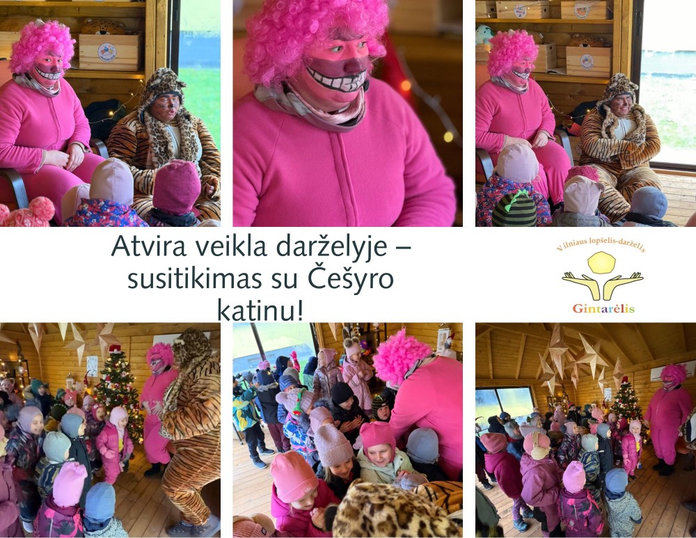 Atvira veikla darželyje- susitikimas su Češyro katinu