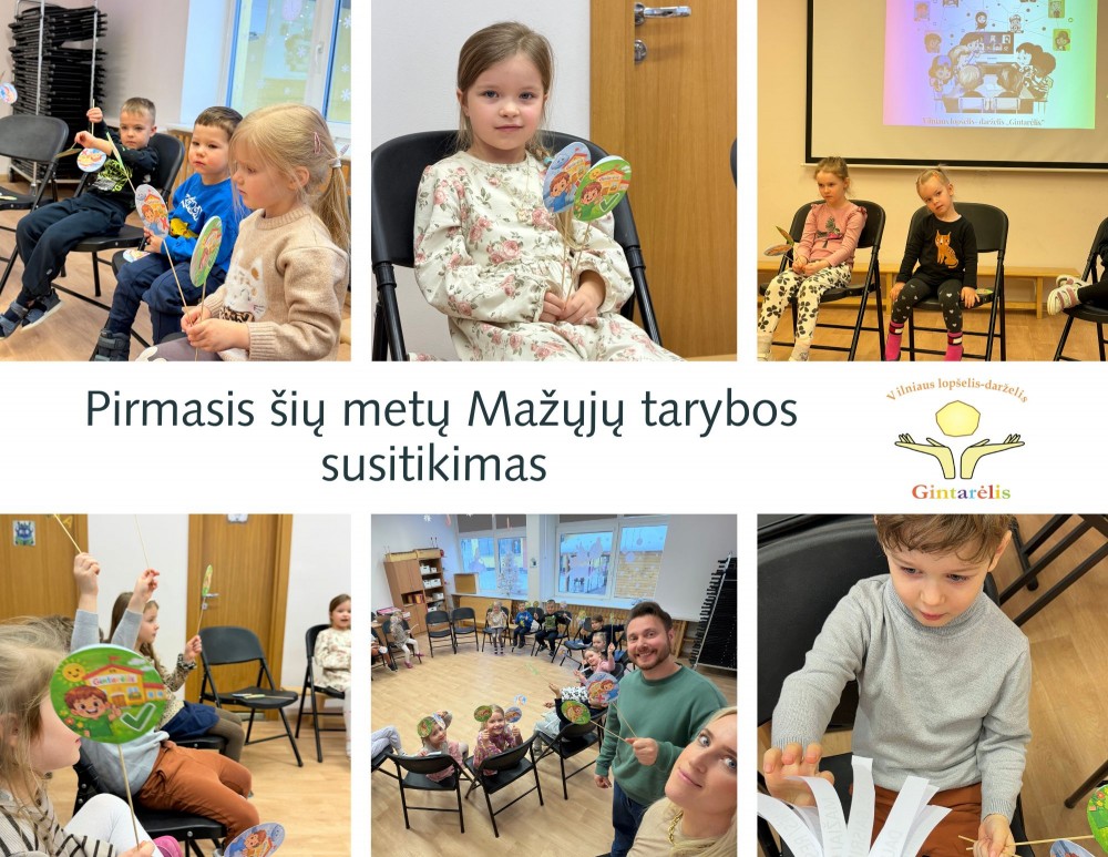 Pirmasis šių metų Mažųjų tarybos susitikimas