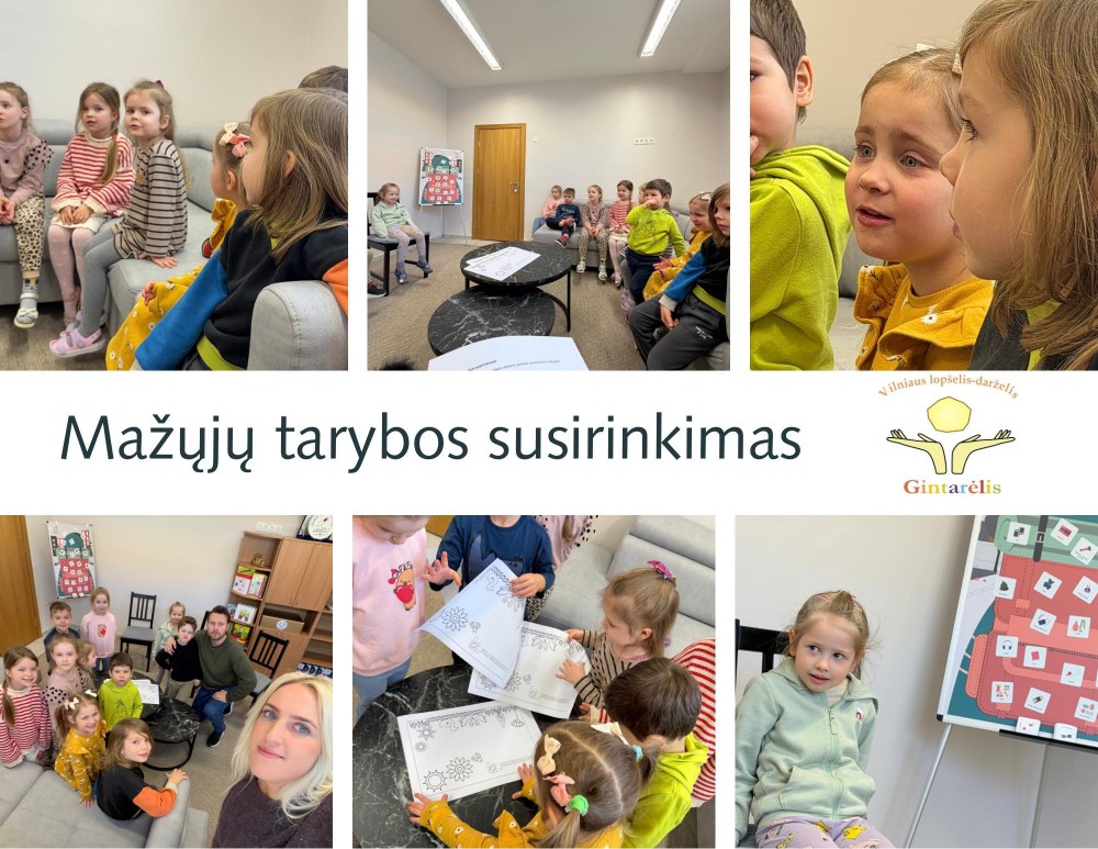 Mažųjų tarybos susirinkimas